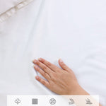 Dream White 300 TC Cotton Bed Set