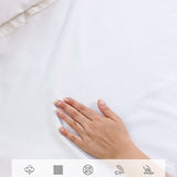 Dream White 300 TC Cotton Bed Set