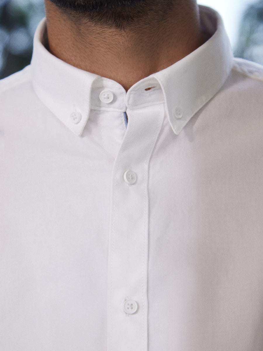 100% Cotton Royal Oxford  Shirt - Laze