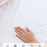 400 TC Cotton Fitted Bed Set - Cloud