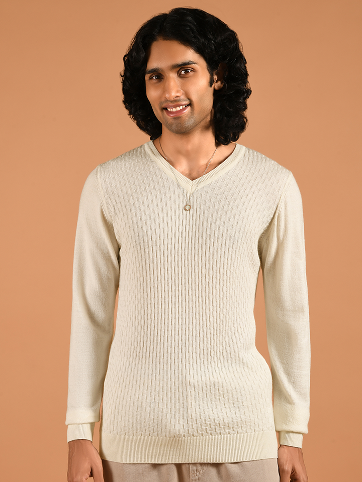 V-neck Full Sleeve Sweater - Den