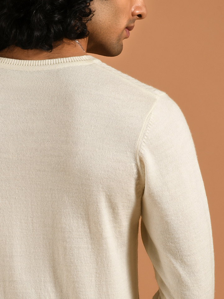 V-neck Full Sleeve Sweater - Den