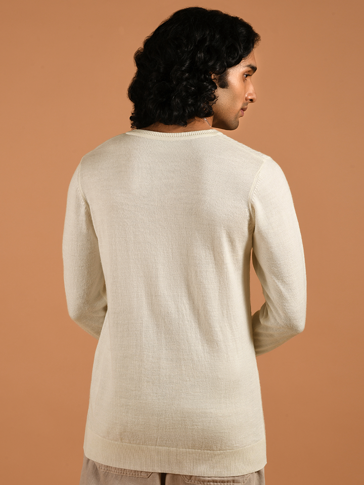 V-neck Full Sleeve Sweater - Den