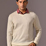 V-neck Full Sleeve Sweater - Den