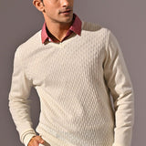 V-neck Full Sleeve Sweater - Den